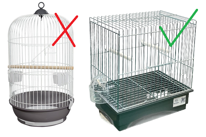 Jaula cilíndrica vs jaula cuadrada para pájaros